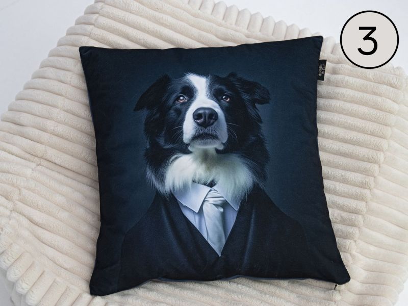 BUSINESS DOGS