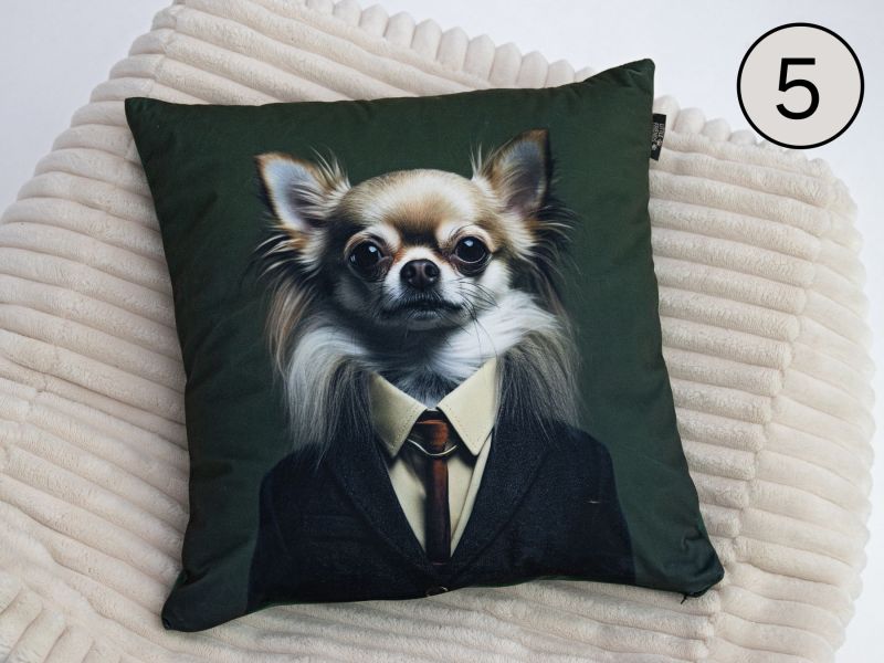 BUSINESS DOGS