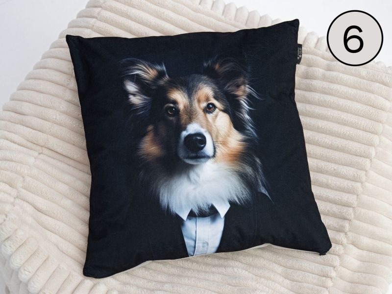 BUSINESS DOGS