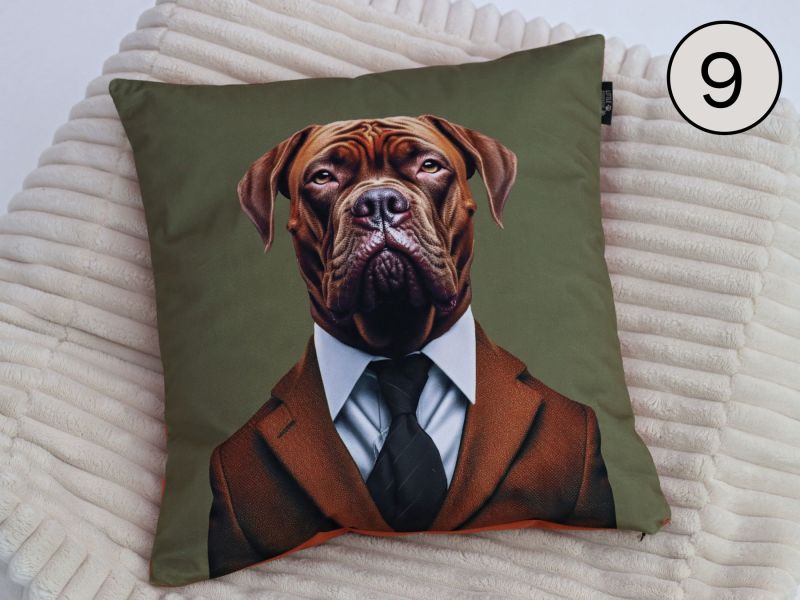 BUSINESS DOGS